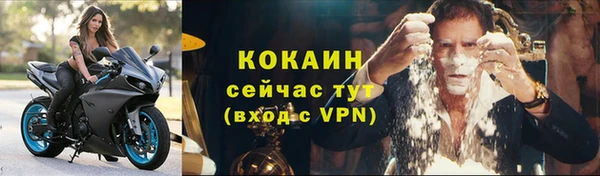 мет Няндома