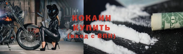 мет Няндома