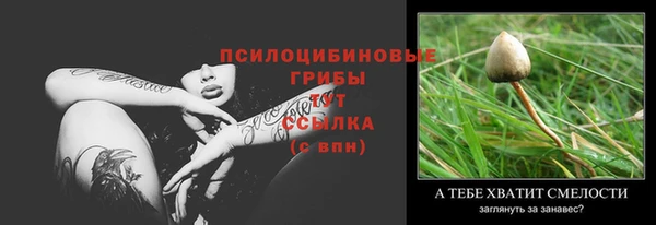 мет Няндома