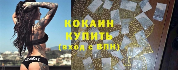 мет Няндома