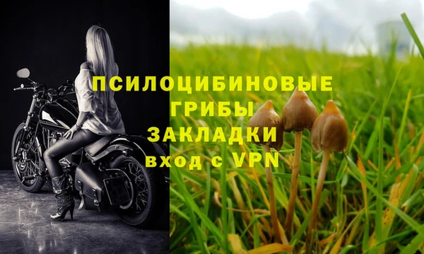 мет Няндома