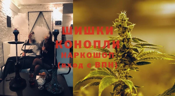 молекула духа Нязепетровск