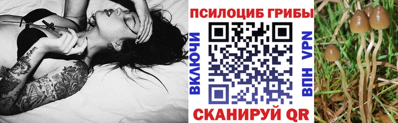 Псилоцибиновые грибы мухоморы  Купить закладки  Каргат 